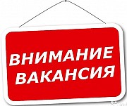 Организатор интернет-магазина Красноярск объявление с фото