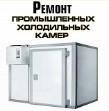 Ремонт электроники холодильного оборудования Тверь