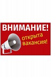 Менеджер для удаленной работы в интернет-магазине Казань