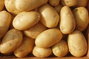 Семенной картофель из Беларуси. Картофель Лилея Нижний Новгород объявление с фото