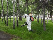 Противоклещевая обработка участка обработать от комаров Шаховская Шаховская объявление с фото