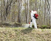 Комары и Клещи на даче как обработать территоию участка Сергиев Посад объявление с фото
