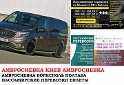 Автобус Амвросиевка Киев Заказать билет Амвросиевка Киев туда и обратно Ростов-на-Дону объявление с фото