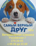 Ветеринарная клиника Уфа объявление с фото