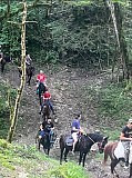 Конные прогулки в горы на водопады Сочи объявление с фото