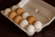 Домашние куриные яйца Москва объявление с фото