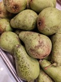 Груша Кюре Вильямс зимний Балашиха объявление с фото