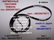 Японский пассик для Yamaha P451 пассик Yamaha P 451 пасик Yamaha ремень пасики пассик Ямаха P-451 Москва объявление с фото