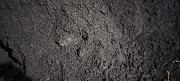 Черный плодородный грунт Калининград объявление с фото