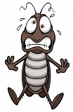 Дезинфекция от насекомых в Троицке Троицк объявление с фото