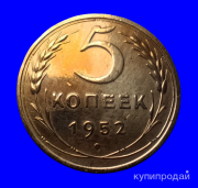 Редкая монета 5 копеек 1952 года (RR) Москва объявление с фото