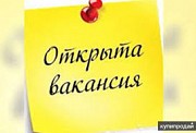 Работа на дому, гибкий график Самара объявление с фото