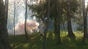Обработка от комаров дачных земельных участков Орехово-Зуево