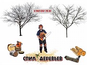 Спил небольших деревьев, кустарников в Казани Казань