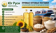 Сельхозпродукция оптом из России - масла, шрот, мука, сахар на экспорт Ростов-на-Дону объявление с фото