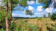 Очень уютный земельный участок с домиком под старым Изборском в Псковской области Печоры