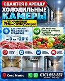 Сдаются в аренду холодильные камеры для хранения сельхозпродукции Нижний Новгород объявление с фото