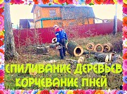 Спилить дерево в Воронеже Новая Усмань объявление с фото