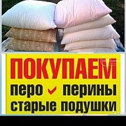 Скупка перины подушки пух перо Курск объявление с фото