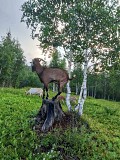 Козочка с козликами Сорск объявление с фото