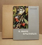 В. Пухальский. В мире крылатых. 1968 Москва объявление с фото