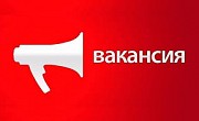 Работа на дому, оплата понедельная Ярославль объявление с фото
