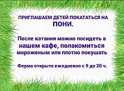 Катание на пони! Москва объявление с фото