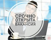 Помощник на документы Барнаул объявление с фото