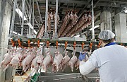Вахта. Рабочие на мясное производство на линию обработки куриных тушек Оренбург объявление с фото