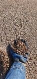 Песок повышенной крупности Калининград объявление с фото