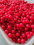 Калина замороженная 3 кг Балашиха