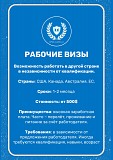 Помогу получить визу в США, ЕС, Канаду. Работаю с отказами. Санкт-Петербург объявление с фото