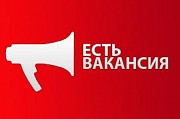 Работа на дому , понедельная оплата Королев объявление с фото