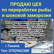 Продаю цех по переработке рыбы и шоковой заморозке Нижний Новгород объявление с фото