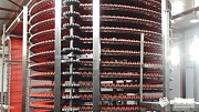 Спиральные транспортеры, конвейеры со спиральным накоплением АСпром Саратов объявление с фото