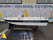 Wyatboat-430 DC (тримаран) в наличии Рыбинск объявление с фото