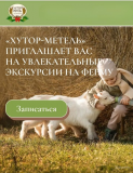 Экскурсии по ферме Санкт-Петербург объявление с фото