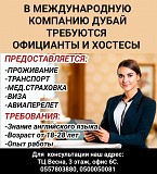 Требуются официанты и хостесы в международную компанию Дубай Нижний Новгород