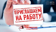 Менеджер интернет-магазина(удаленно) Омск объявление с фото