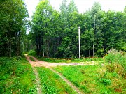 Участок 15 соток, со своим девственным лесом вблизи Смоленска, д. Алексино Смоленск объявление с фото