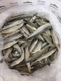 Продажа рыбы в СПб - корюшка свежемороженая Санкт-Петербург объявление с фото
