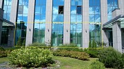 Аренда помещения в Медведково Москва объявление с фото