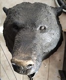 Бронзовая голова медведя, современная бронза Ставрополь объявление с фото