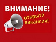Работа на дому, без опыта Северодвинск объявление с фото