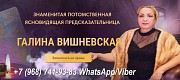 Услуги таролога Санкт-Петербург. Санкт-Петербург объявление с фото
