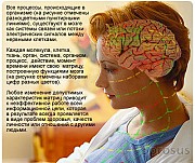 Профессиональный комплекс для диагностики, просмотра состояния и восстановления здоровья человека Санкт-Петербург объявление с фото