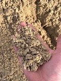 Песок строительный с доставкой Калининград объявление с фото