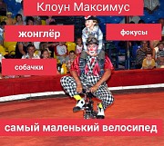 Цирковое представление на детский праздник Воскресенск объявление с фото
