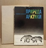 Пухальский, Влодзимеж. Природа Арктики. 1968 г. Москва объявление с фото