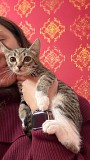 Гаечка и Масяня ищут дом Москва объявление с фото